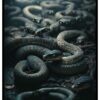 scary snakes poster