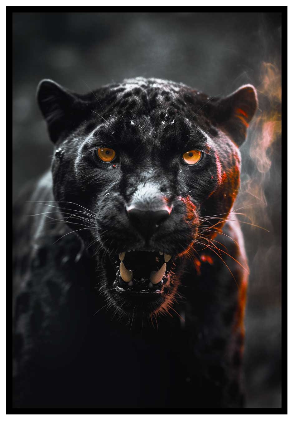 Illustration Panther, Panther